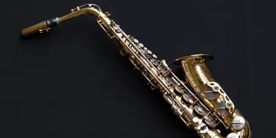 The History of the Saxophone Image