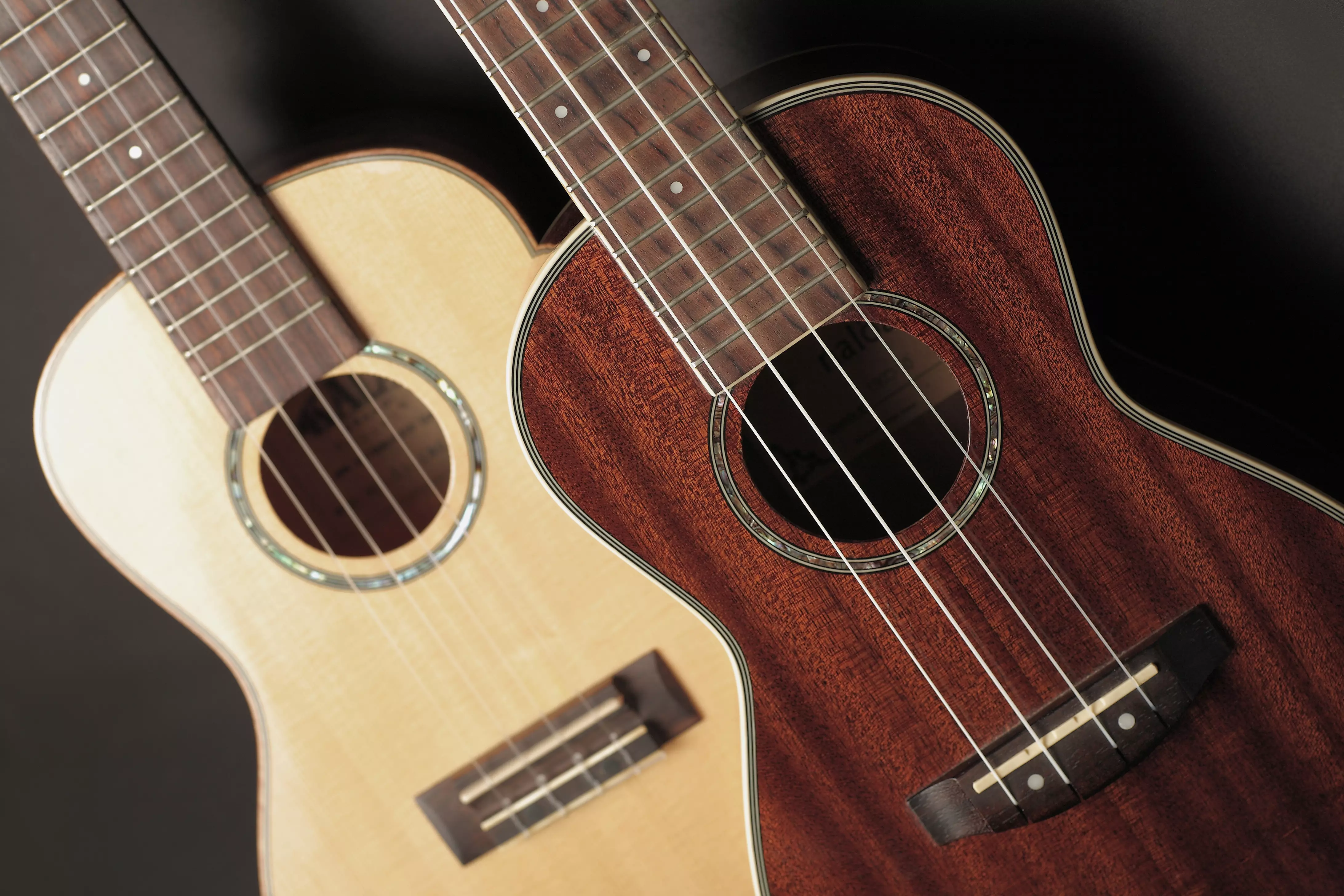 4 Tips to Take Care of Your Ukulele Image