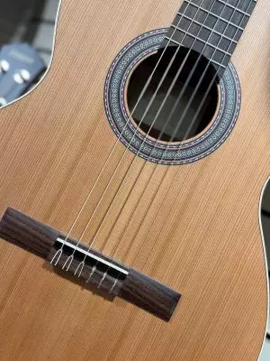 A Cedar Red guitar wood top