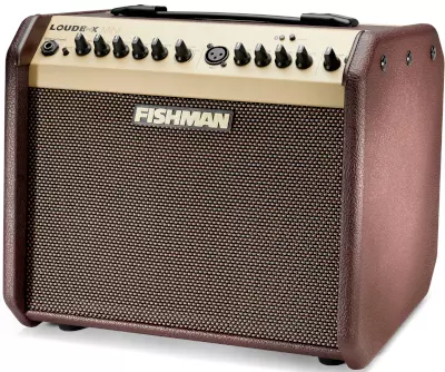 Fishman Loudbox Mini with Bluetooth