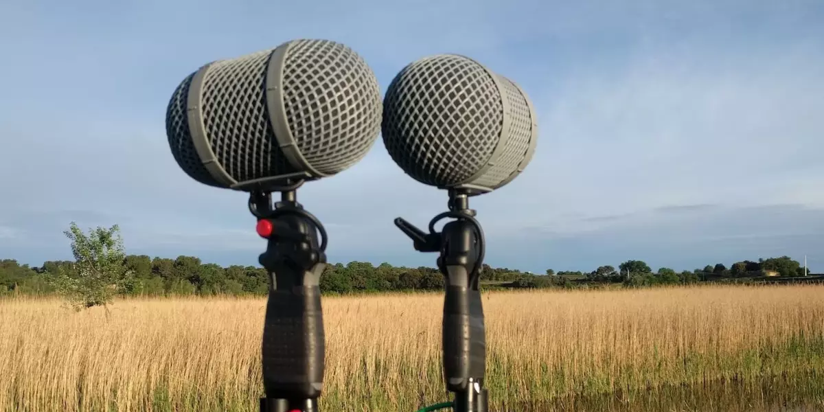 A Sound Recordists Dual Perspective Image