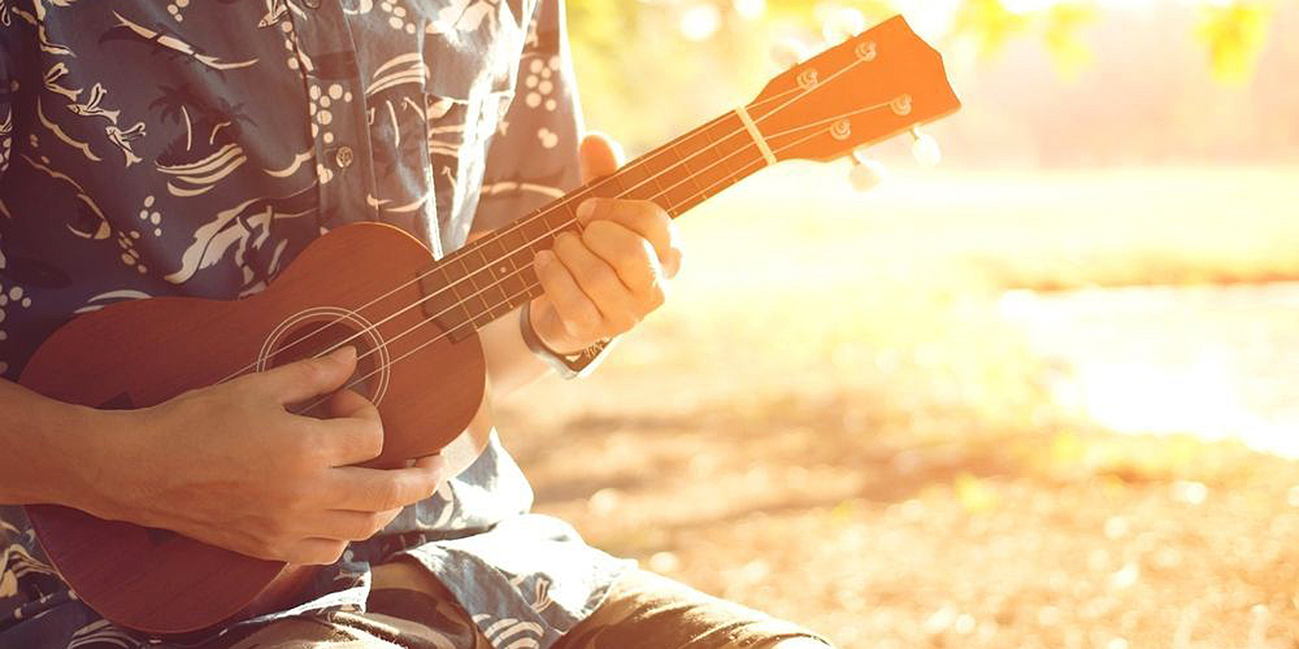 Tip Toe Through the Tulips: A Ukulele Primer by Ian James