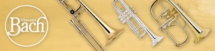 Bach Landing Page Banner