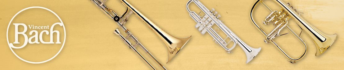 Bach Landing Page Banner