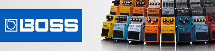 BOSS Landing Page Banner