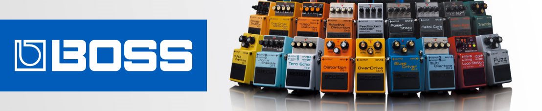 BOSS Landing Page Banner