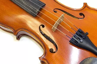 Image of Carlton 4/4 Violin