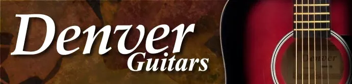 Denver Landing Page Banner