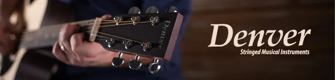 Denver Landing Page Banner