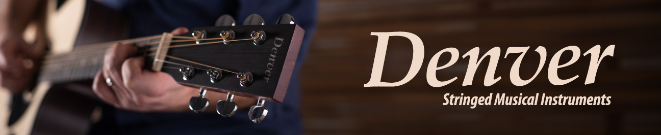Denver Landing Page Banner