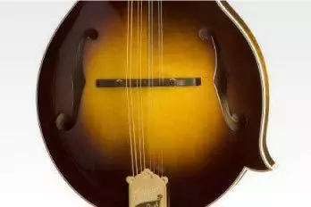 Sort By - Bluegrass Instruments