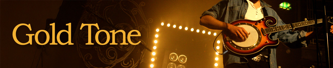 Gold Tone Landing Page Banner