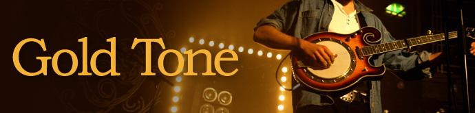 Gold Tone Landing Page Banner