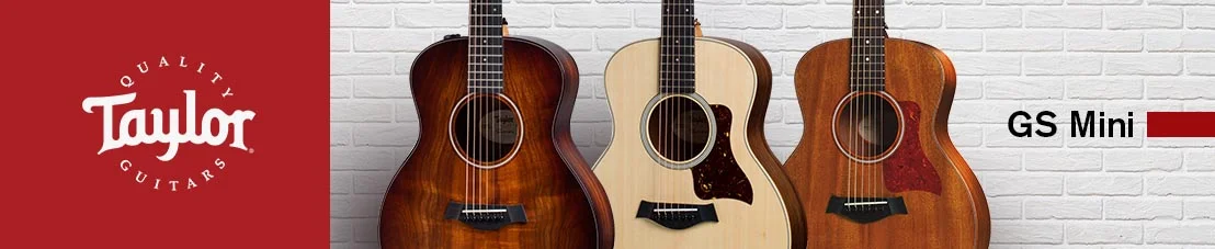 Taylor GS-mini Series