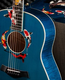 collections_specialty_guitars