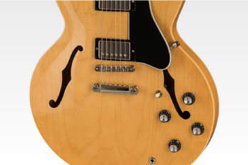 ES & Hollow<br>Body Guitars