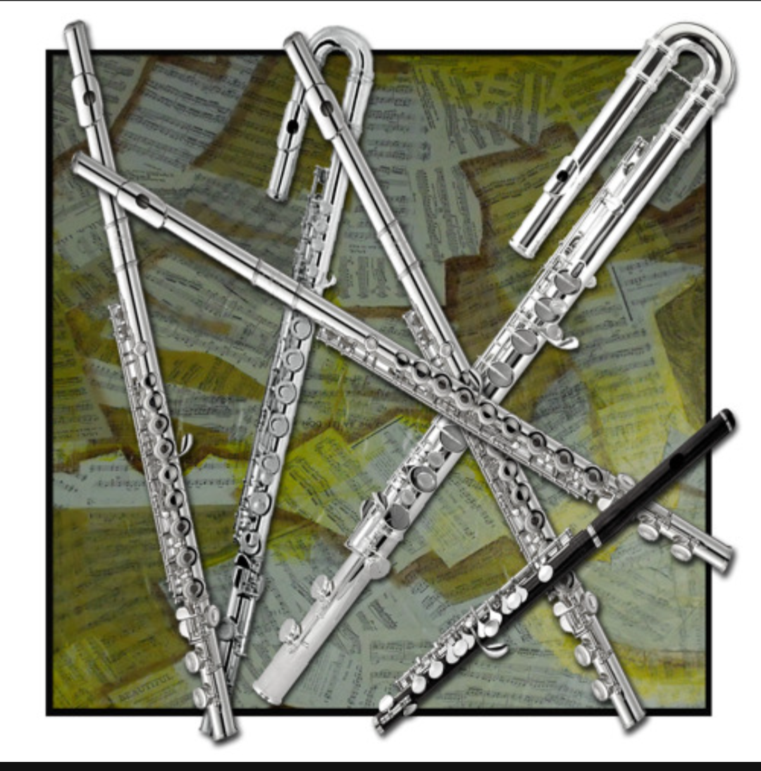 Online - Flute Ensemble - Blow More Dragana Hajduk lessons in Vancouver