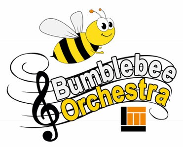 BUMBLEBEE ORCHESTRA None  lessons in Burlington