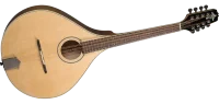 Mandolin Department Icon
