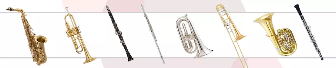 Pro Brass & Woodwind Extended Financing