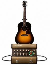 Professional Performance Guitar and DI