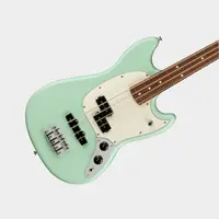 Bass Guitars Icon