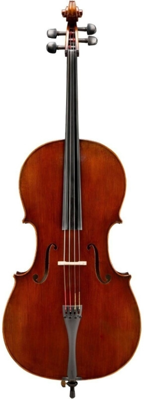 Professional Cello image