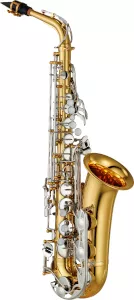 An Alto Saxophone