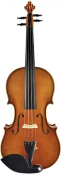 Professional Violin